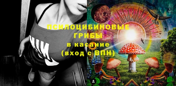 сатива Алексин