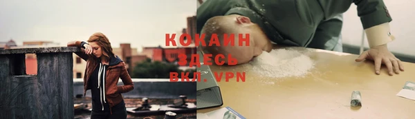 дмт Алзамай