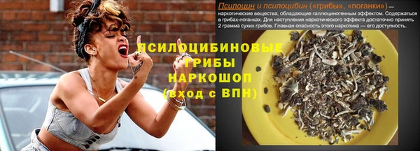 дмт Алзамай