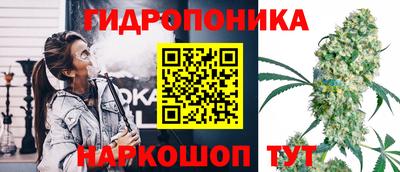 PSILOCYBIN Севастополь